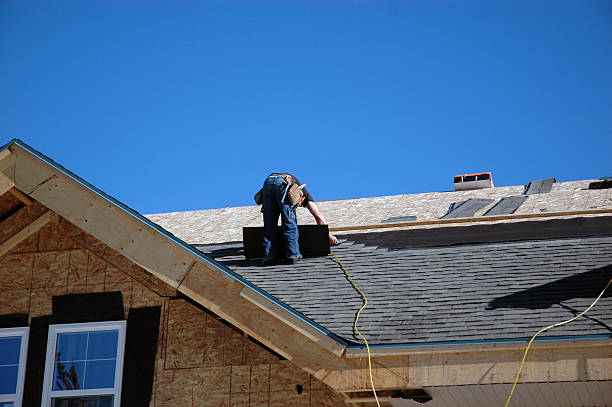 Best Gutter Installation and Repair  in Lake Ridge, VA