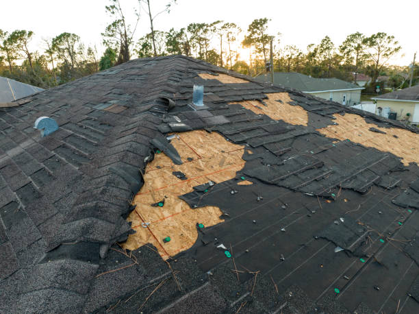 Best Commercial Roofing Services  in Lake Ridge, VA