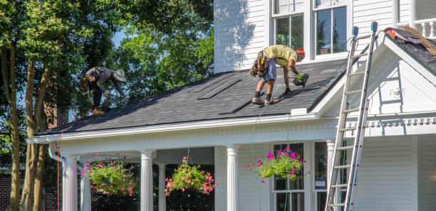 Best Rubber Roofing (EPDM, TPO)  in Lake Ridge, VA